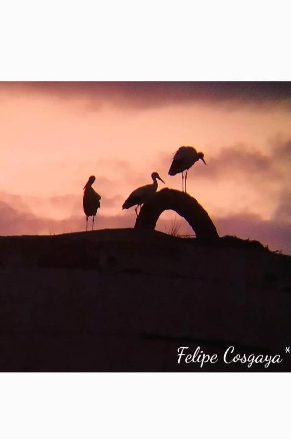 Casa Rural Albahaca Herrera del Duque ภายนอก รูปภาพ